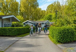 Radfahrende Menschen im Park - EuroParcs Molengroet - Noord-Scharwoude, Nordholland, Niederlande