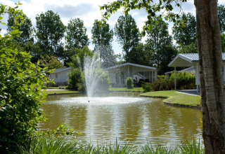 Een rustige vijver met fontein in een vakantiepark, omringd door groene bomen en glamping accommodaties.