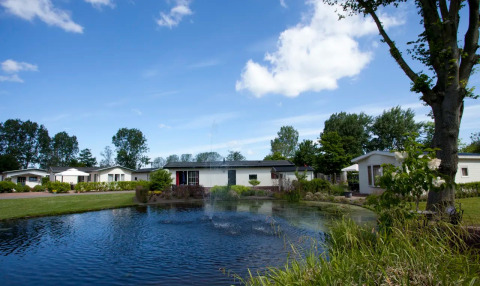 Vakantiepark met moderne glamping accommodaties, vijver, groen gras en bomen onder een blauwe hemel.