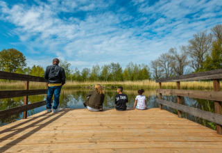 Vier mensen genieten van de natuur op een houten steiger bij een vijver in een vakantiepark met glamping.