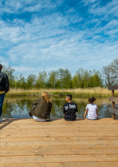 Sentado junto al agua - EuroParcs Molengroet - Noord-Scharwoude, Holanda Septentrional, Países Bajos