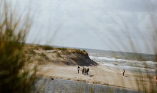 Fotografía de una playa con personas cerca del agua, vista entre pasto en un parque de glamping.