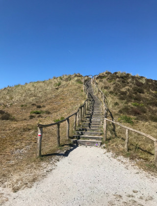 Escalera de madera subiendo una colina cubierta de césped bajo un cielo azul en un parque vacacional.