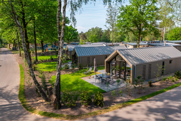 Moderne glampingaccommodaties in een groen vakantiepark met terrassen en omgeven door bomen in de natuur.
