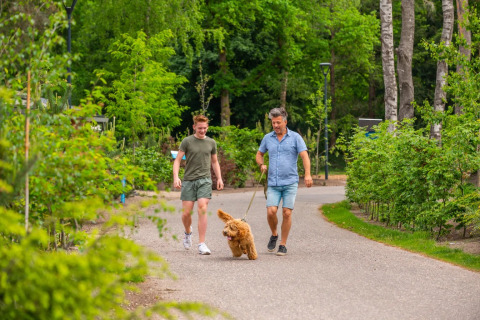 Promenade avec chien - EuroParcs De Hooge Veluwe - Arnhem, Gelderland, Pays-Bas
