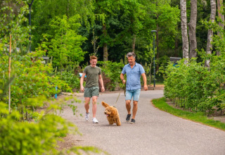Wandelen met hond - EuroParcs De Hooge Veluwe - Arnhem, Gelderland, Nederland