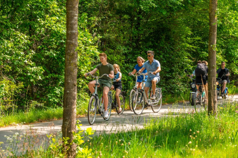 Radfahren in der Umgebung - EuroParcs De Hooge Veluwe - Arnheim, Gelderland, Niederlande