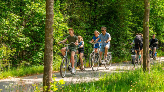 Fietsen in de omgeving - EuroParcs De Hooge Veluwe - Arnhem, Gelderland, Nederland