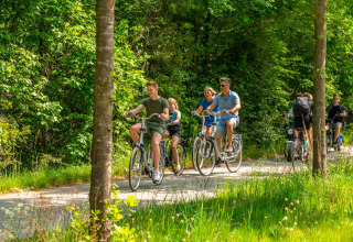 Cykling i området - EuroParcs De Hooge Veluwe - Arnhem, Gelderland, Holland