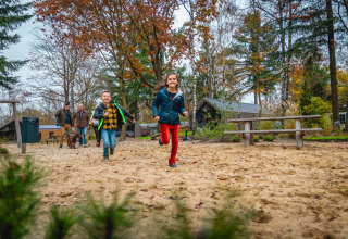 Jugar en el parque de vacaciones - EuroParcs De Hooge Veluwe - Arnhem, Gelderland, Países Bajos