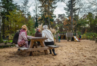 Playground and picnic table - EuroParcs De Hooge Veluwe - Arnhem, Gelderland, Netherlands