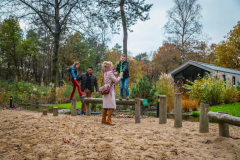 Gezin op het park - EuroParcs De Hooge Veluwe - Arnhem, Gelderland, Nederland