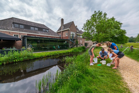 Groep mensen onderzoekt waterleven naast een beekje bij een modern vakantiepark met glamping faciliteiten.