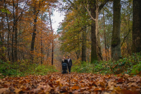 Marcher dans la forêt - EuroParcs De Hooge Veluwe - Arnhem, Gelderland, Pays-Bas