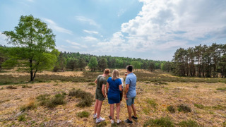 Gezin op de Veluwe - EuroParcs De Hooge Veluwe - Arnhem, Gelderland, Nederland