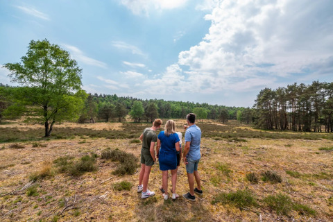 Familie auf der Veluwe - EuroParcs De Hooge Veluwe - Arnheim, Gelderland, Niederlande