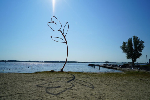 Mehr - EuroParcs Zuiderzee - Biddinghuizen, Flevoland, Niederlande