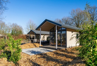 Een moderne lodge met grote ramen omgeven door bomen en struiken onder een heldere blauwe lucht.