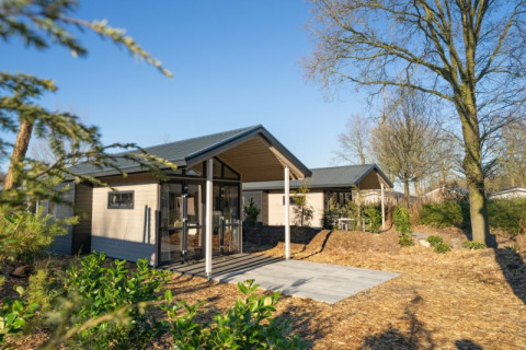 Moderne lodge met overdekt terras, gelegen in een groene omgeving met bomen en zonlicht