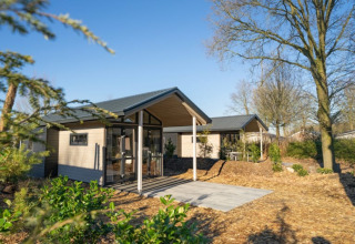 Moderne hytte i træ med overdækket terrasse midt i naturen, omgivet af træer og grønne planter