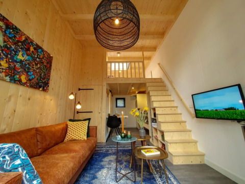Modern tiny house living room with wooden walls, loft area, brown sofa, colorful art, and TV.