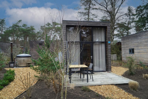 Tiny modern wooden house with a terrace, set in nature and surrounded by trees and shrubs outdoors.