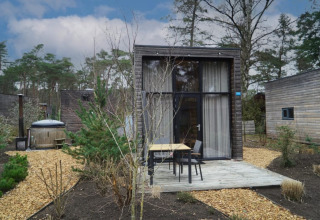 Tiny modern wooden house with a terrace, set in nature and surrounded by trees and shrubs outdoors.