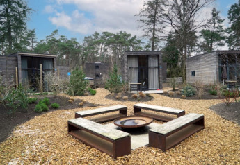 Area esterna con panche e braciere circondato da case tiny house moderne immerse in un ambiente boschivo.