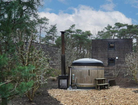 Una pequeña casa de madera con sauna exterior redonda, rodeada de árboles y naturaleza, cielo azul.