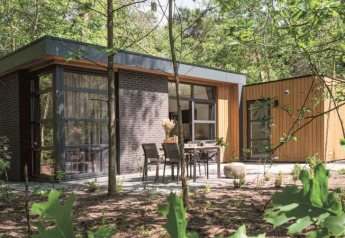 Moderne lodge in het bos met grote ramen en een terras met tuinmeubilair om buiten te zitten.