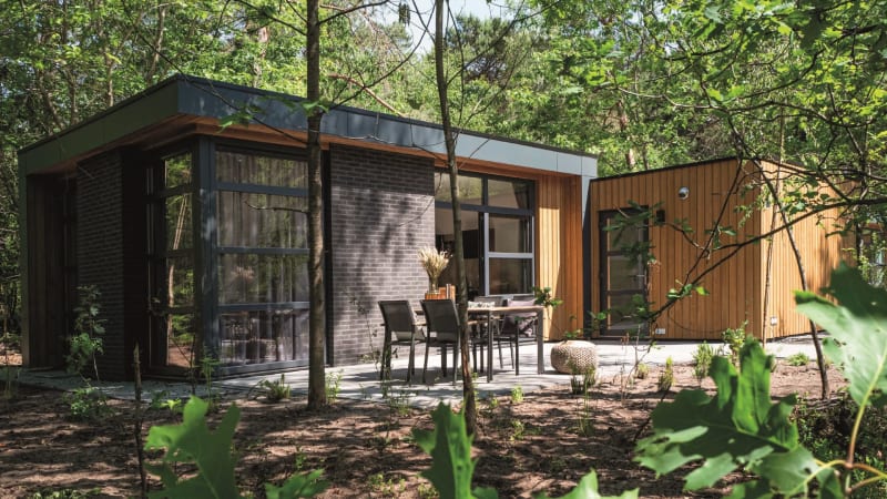 Lodge moderno entre árboles con grandes ventanales y terraza exterior amueblada para comidas al aire libre.