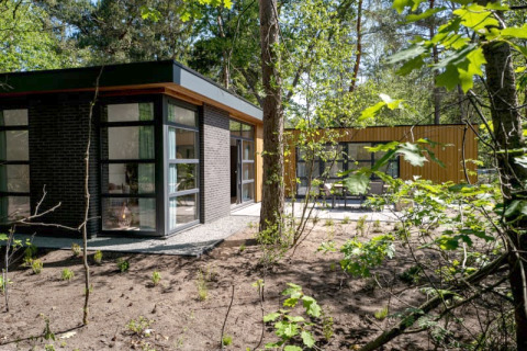 Lodge moderne avec de grandes fenêtres et toit plat, niché au cœur d’une zone boisée entourée d’arbres.