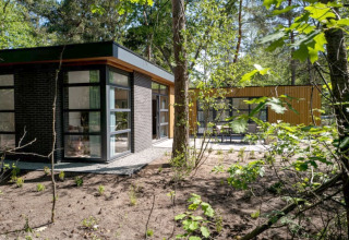 Lodge moderne avec de grandes fenêtres et toit plat, niché au cœur d’une zone boisée entourée d’arbres.