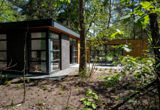 Modern lodge with large windows and flat roof, nestled in a wooded area surrounded by green trees.