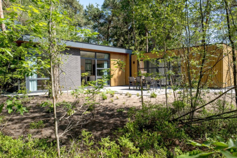 Lodge moderne au cœur de la forêt, grandes baies vitrées et terrasse avec mobilier extérieur