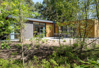 Lodge moderne au cœur de la forêt, grandes baies vitrées et terrasse avec mobilier extérieur