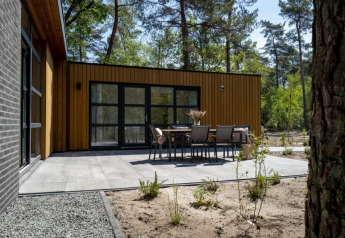 Moderne lodge med træfacade, stor stenbelagt terrasse og havemøbler, omgivet af skov og natur.