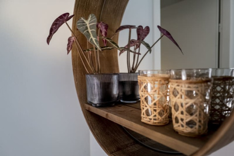 Décor de lodge chaleureux avec plante d'intérieur en pot et verres entourés de rotin sur étagère en bois.