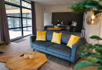 Moderne lodge-woonkamer met grote ramen, blauwe bank met gele kussens en keuken op de achtergrond.