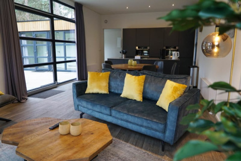 Salon moderne de lodge avec grandes fenêtres, canapé bleu, coussins jaunes et cuisine à l’arrière-plan.