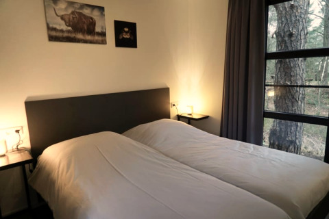 Chambre douillette d’un lodge avec deux lits simples, grandes fenêtres et vue sur la forêt dehors.