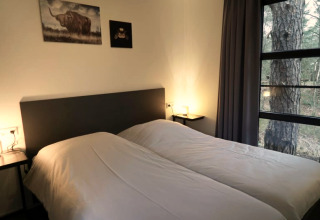 Chambre douillette d’un lodge avec deux lits simples, grandes fenêtres et vue sur la forêt dehors.