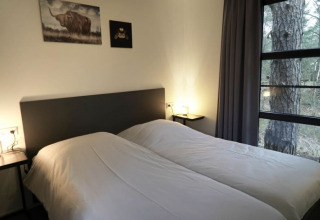 Cozy lodge bedroom with two single beds, large windows, nightstands, and a forest view outside.