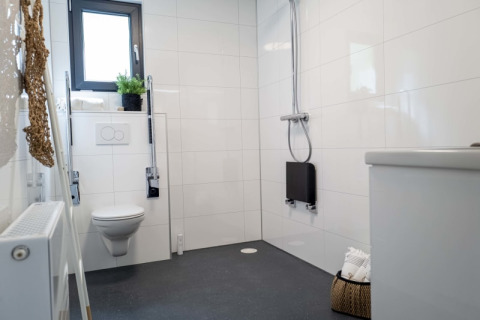 Baño accesible en un lodge, con inodoro de pared, barras de apoyo, ducha abierta y cesto en el suelo.