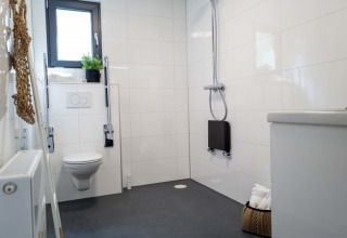 Baño accesible en un lodge, con inodoro de pared, barras de apoyo, ducha abierta y cesto en el suelo.