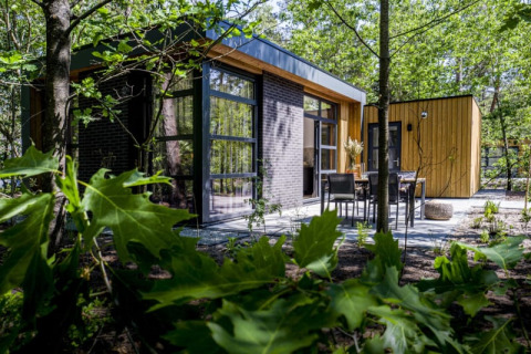 Moderne Lodge mit großen Fenstern und Holzverkleidung, umgeben von Bäumen und Terrasse im Grünen.