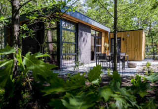 Moderne Lodge mit großen Fenstern und Holzverkleidung, umgeben von Bäumen und Terrasse im Grünen.