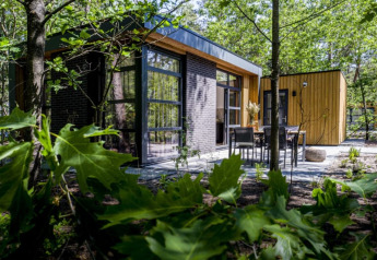 Moderne lodge med store vinduer og træbeklædning, omgivet af grønne træer og udendørs siddeplads.