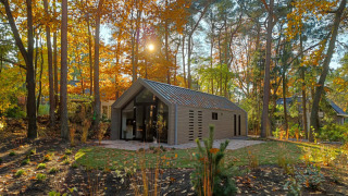 Una moderna casa lodge enclavada en un bosque otoñal, rodeada de árboles coloridos y luz solar.