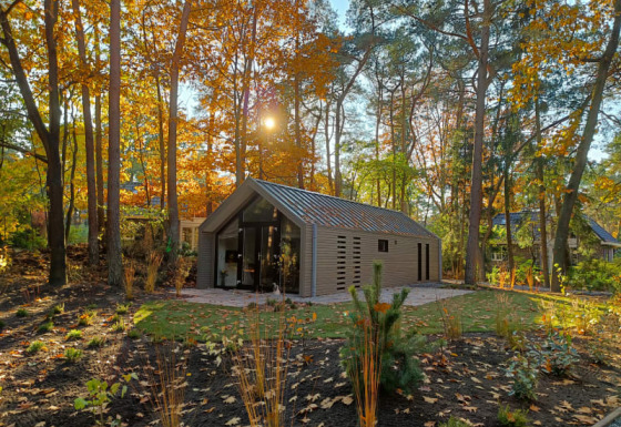 Una moderna casa lodge enclavada en un bosque otoñal, rodeada de árboles coloridos y luz solar.